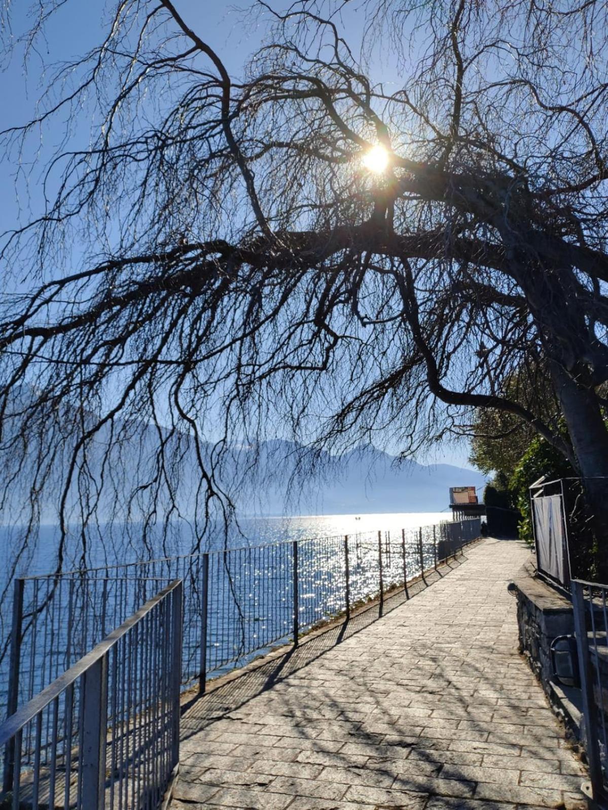 Balcony On Lake Pianello Pianello Del Lario 外观 照片